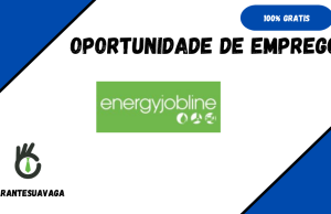 (12) Oportunidade de Estágio – Ensino Superior, Profissional