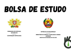 Programa de Bolsas de Estudo da Cooperação Portuguesa
