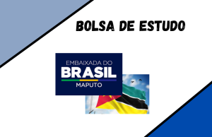 Bolsas de Estudo do nível de Licenciatura para Brasil