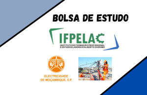 (110) Bolsas de Estudos na EDM em Parceria com IFPELAC e Banco Mundial